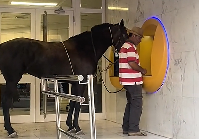 Un hombre, acompañado de una yegua, acude a un cajero en San Mateo.