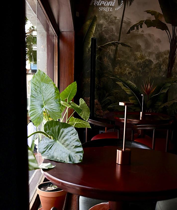 Imagen secundaria 2 - Espacios de Rosa Blanca.