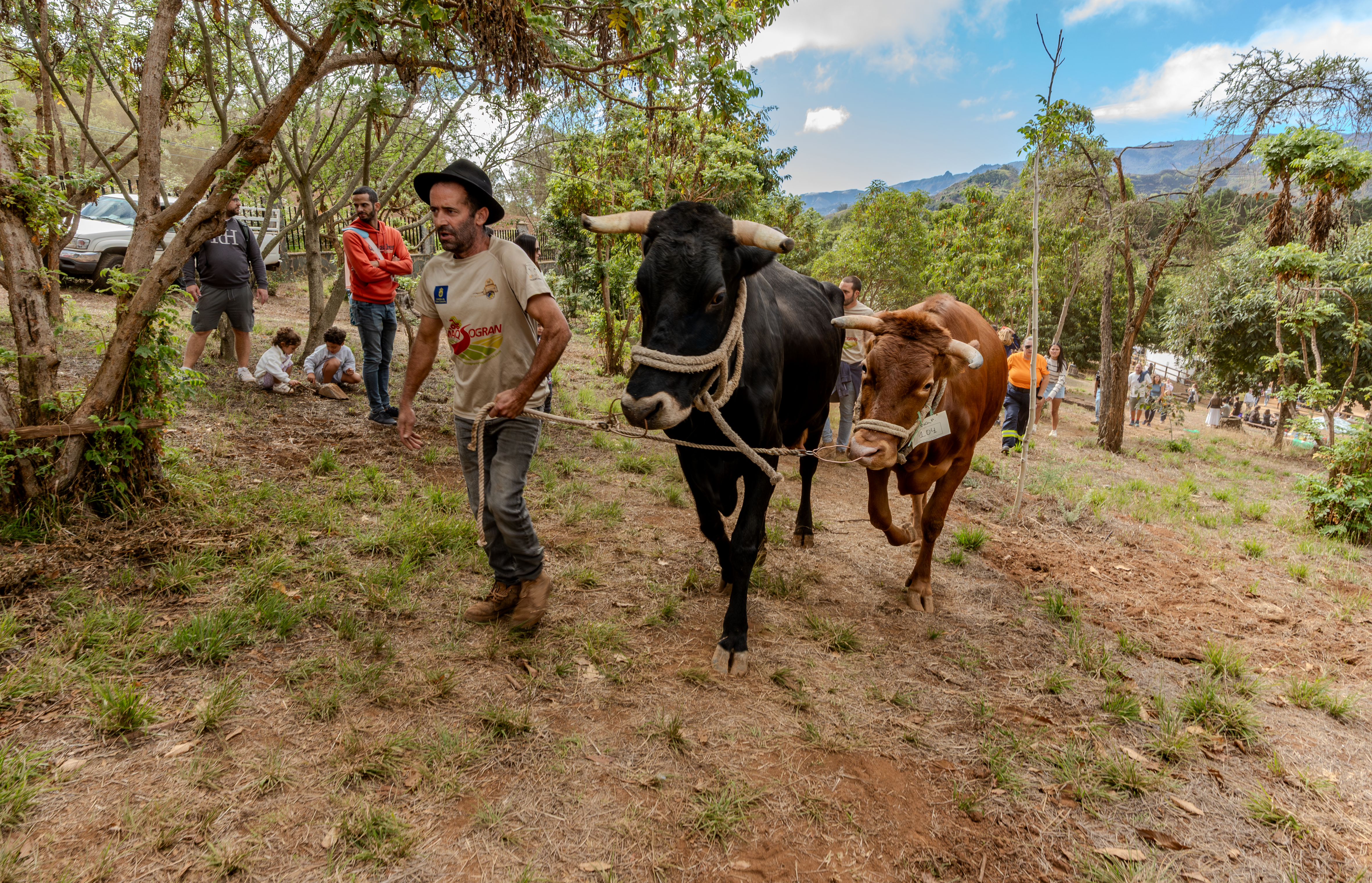 Valleseco se convierte en epicentro del mundo rural con una feria multitudinaria