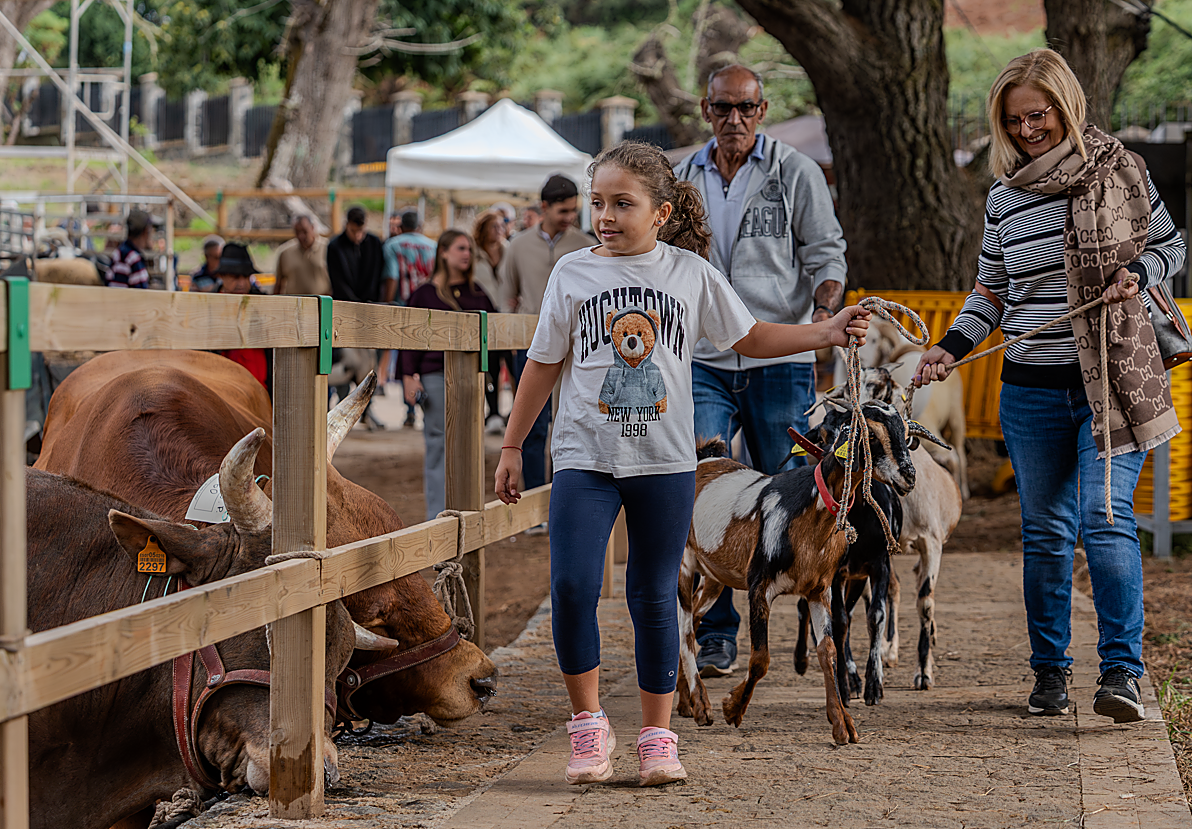 Valleseco se convierte en epicentro del mundo rural con una feria multitudinaria