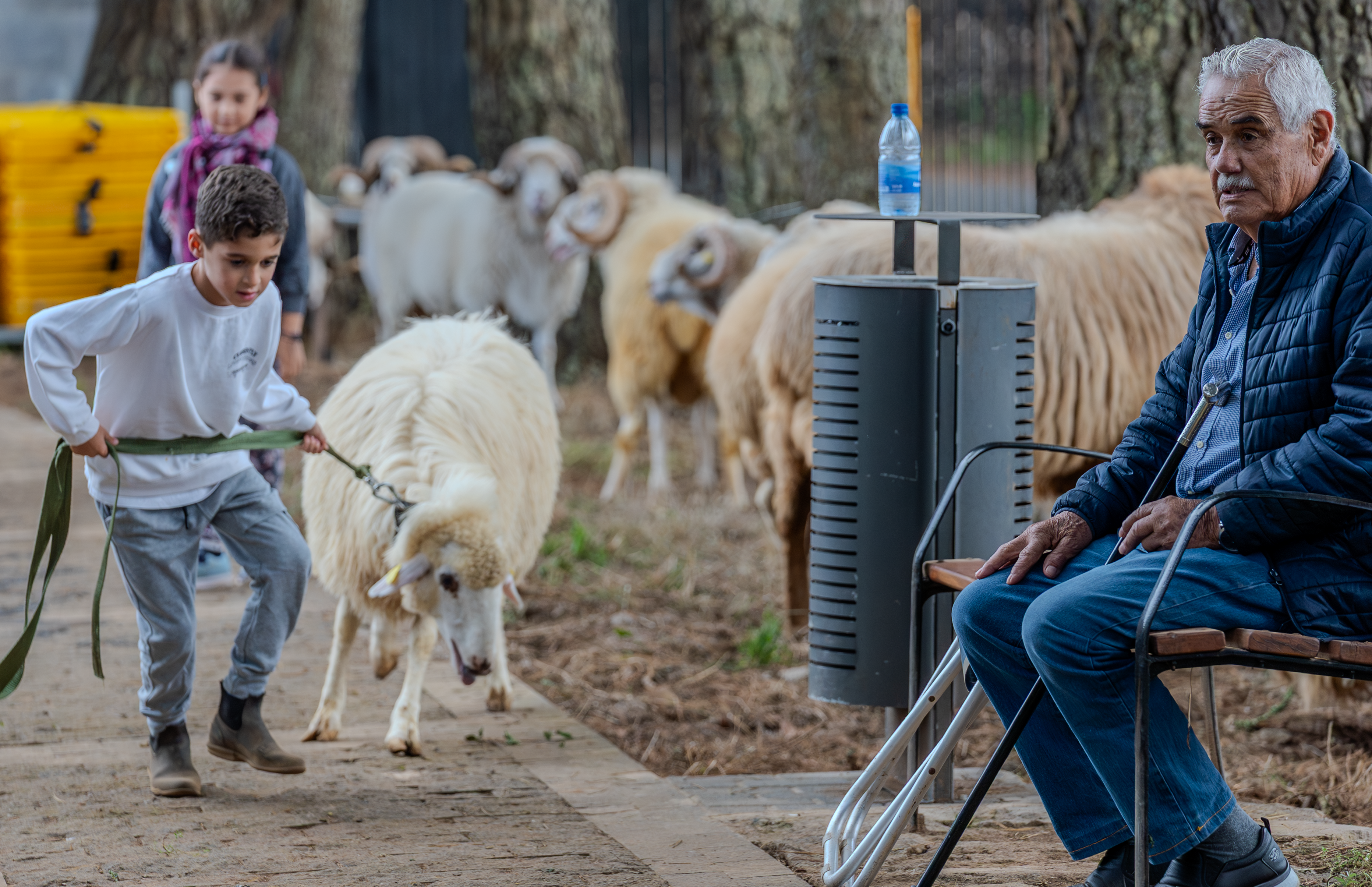 Valleseco se convierte en epicentro del mundo rural con una feria multitudinaria