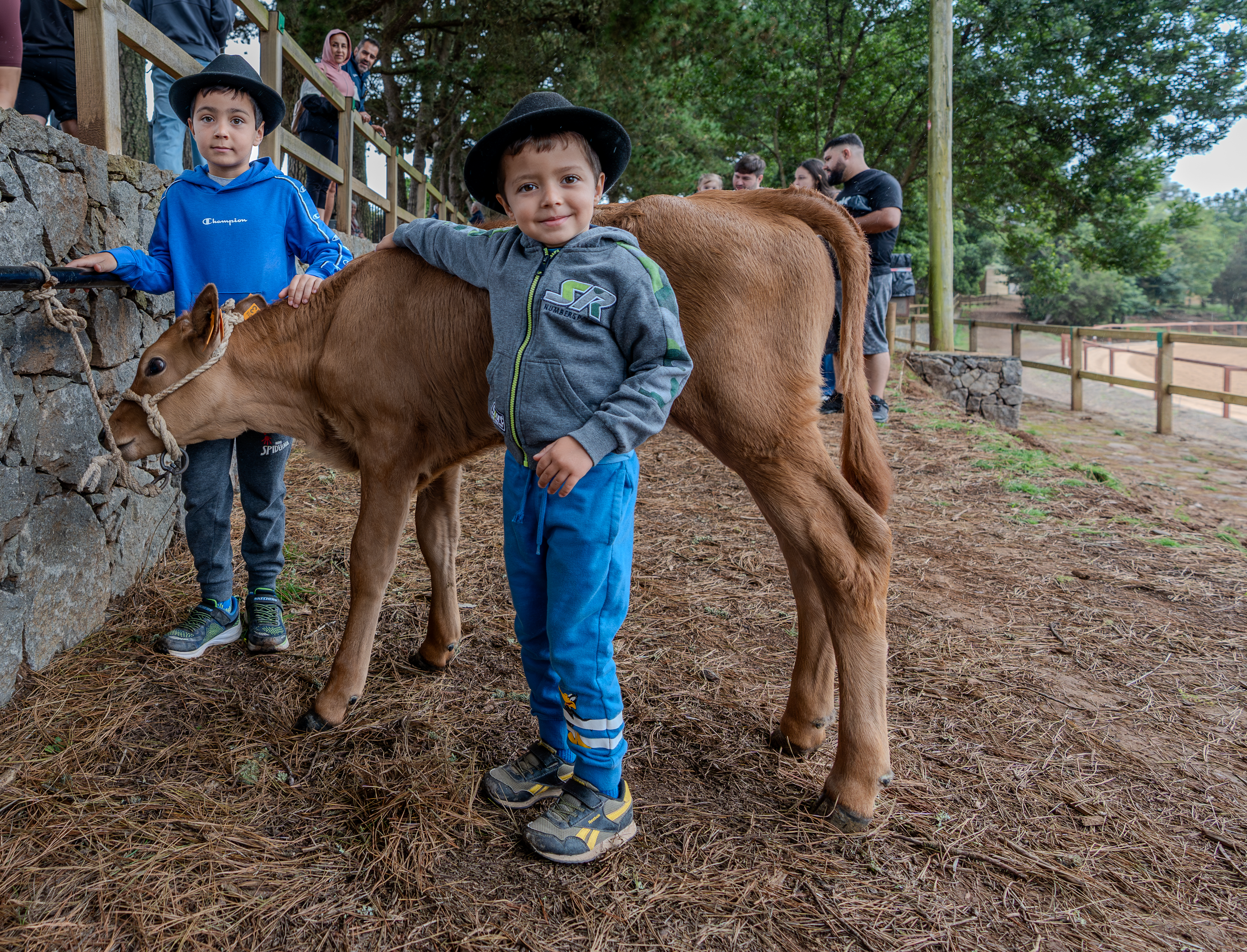 Valleseco se convierte en epicentro del mundo rural con una feria multitudinaria