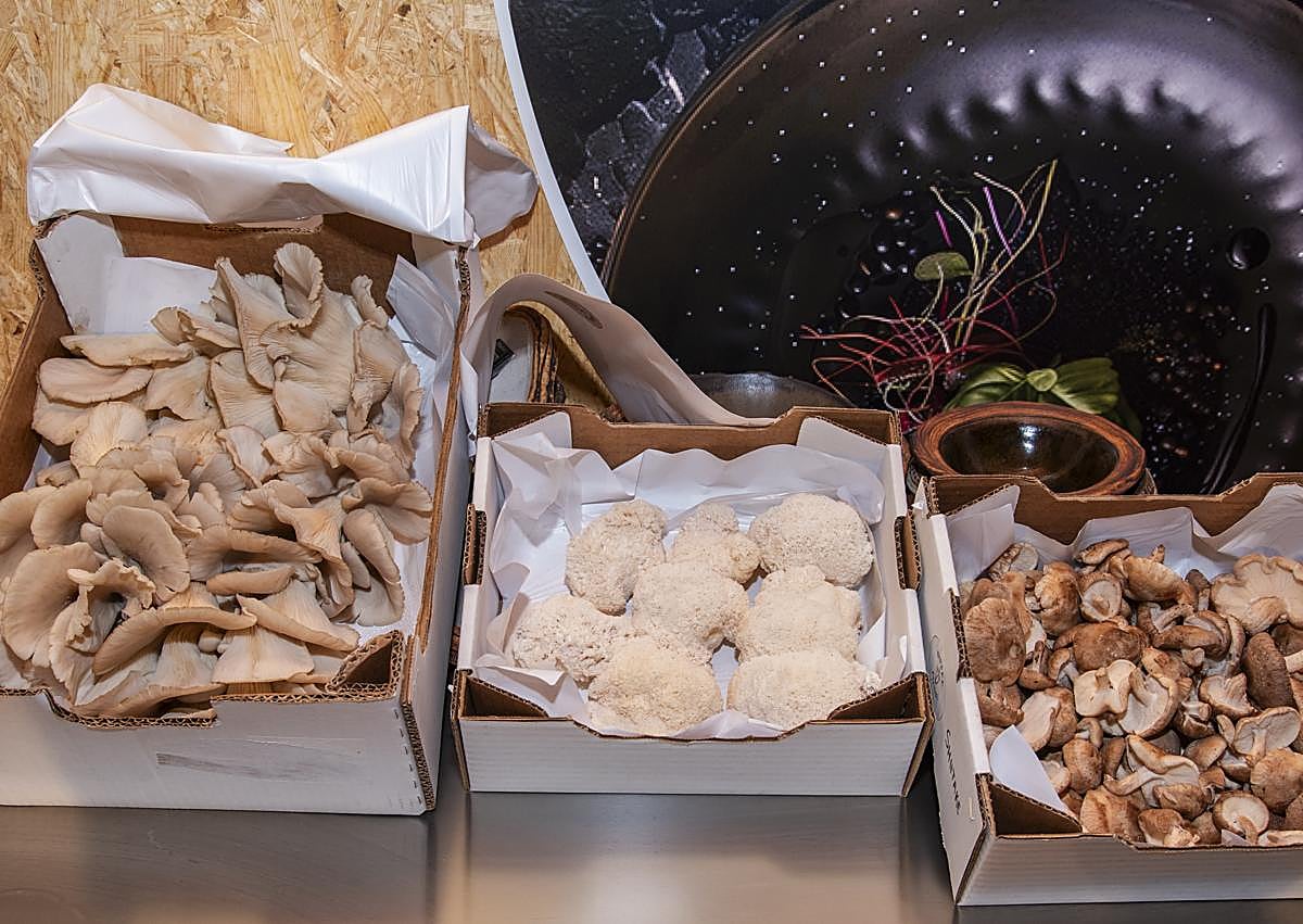 Imagen secundaria 1 - Cristina y Maxime fundadores de Coffe Fungi enseñando su producto.