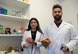 Imagen de investigadores con reproducciones de órganos hechos con imprensión 3D.