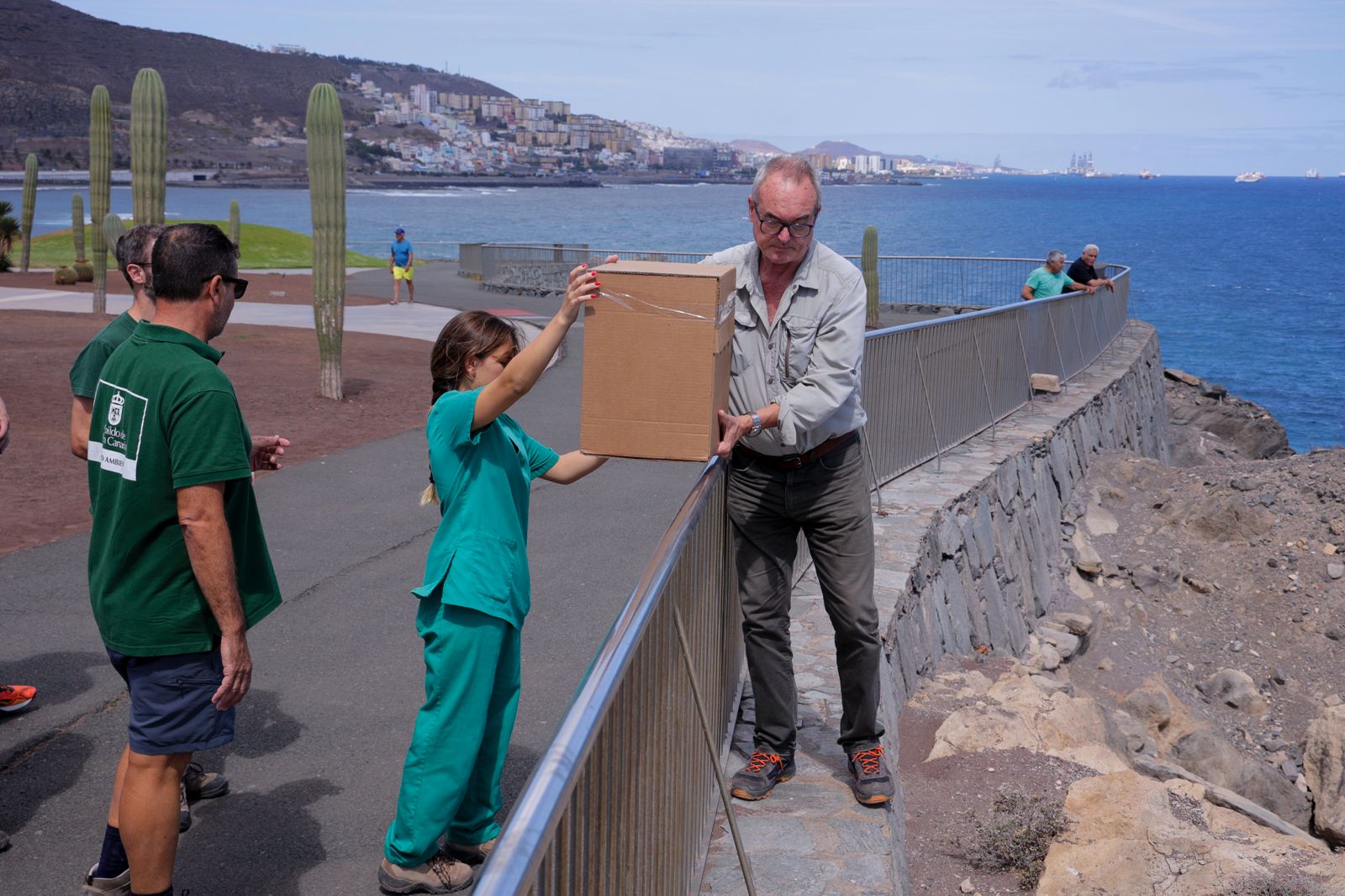 El alcatraz que resucitó a base de papillas