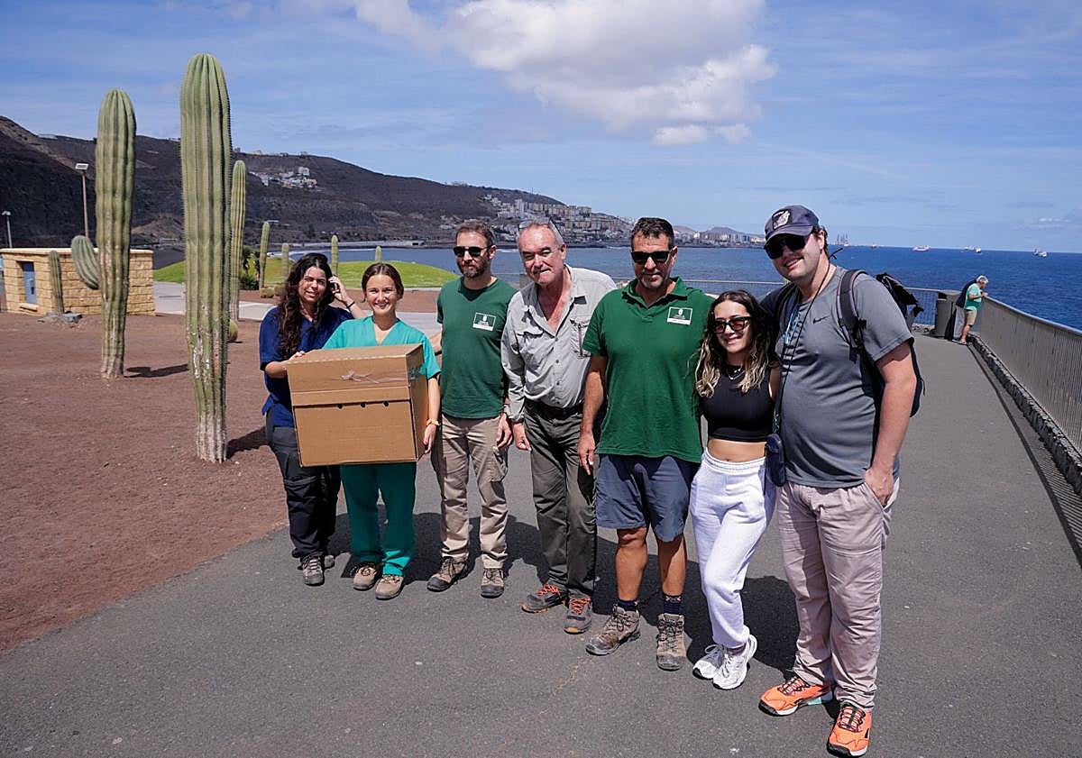Imagen principal - Diversos momentos de la liberación del alcatraz.