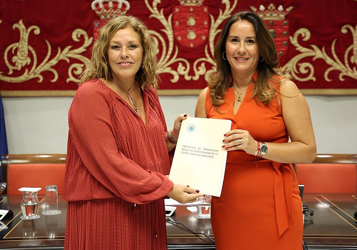 Imagen de la sesión que tuvo lugar en la Sala Cabildos del Parlamento.