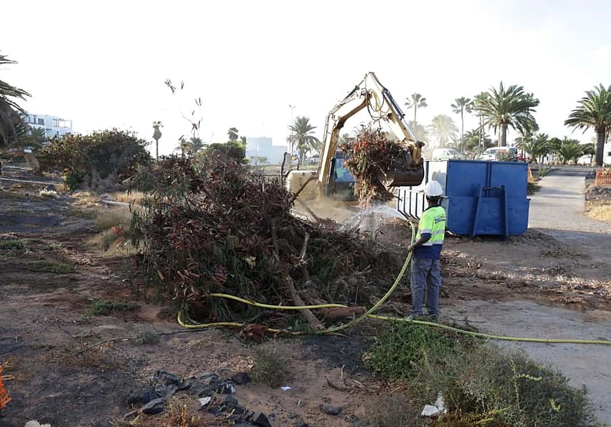 Labores de limpieza ya en fase de ejecución.