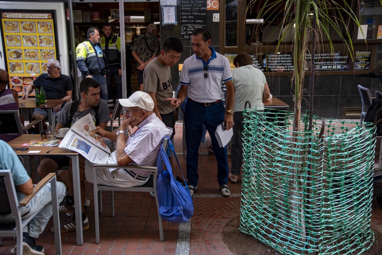 Imagen principal - Redada en Las Canteras para proteger el arbolado