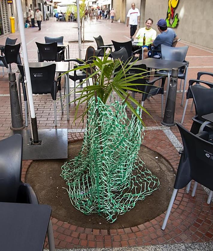 Imagen secundaria 2 - Redada en Las Canteras para proteger el arbolado