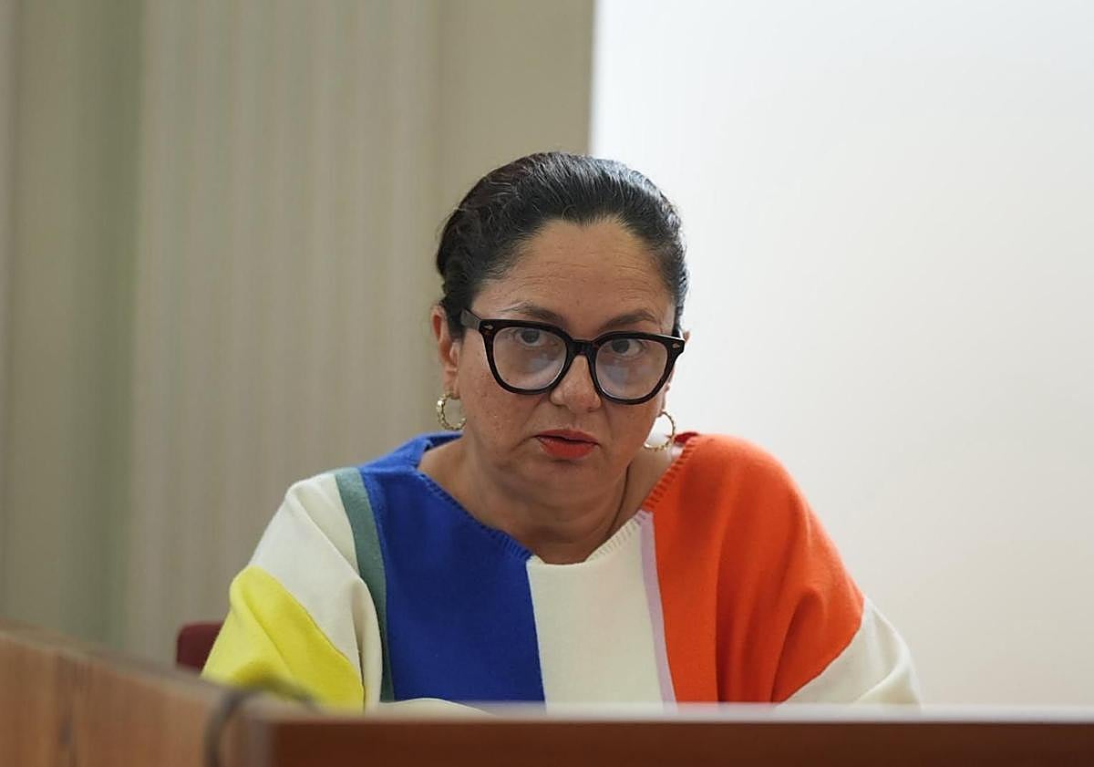 Imagen principal - Clotilde Sánchez y cargos de Vox durante el pleno extraordinario de este viernes