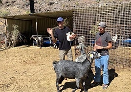 Víctor y Nayra, junto a sus cabras, durante la presentación de su quesería a los visitantes.