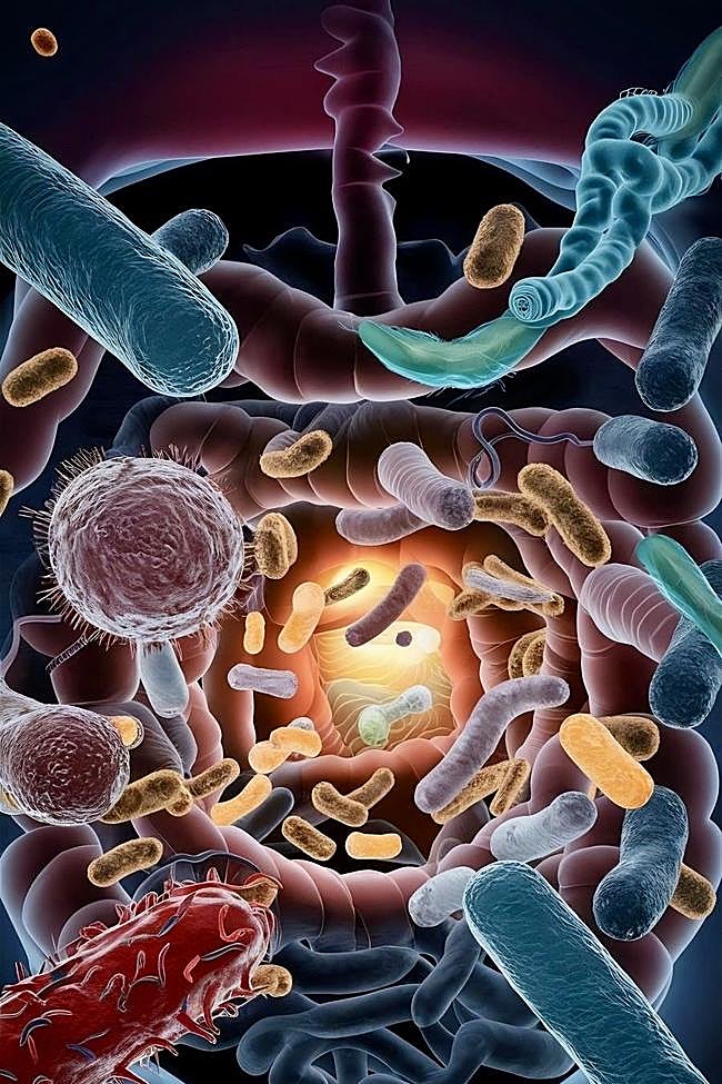 Tu microbiota tiene la palabra