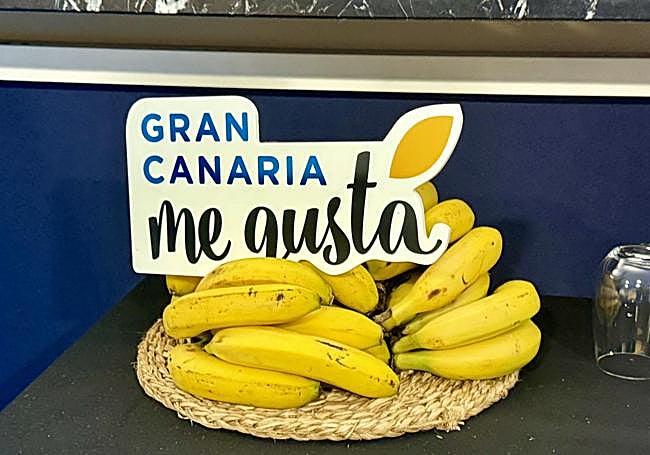 Plátanos de Gran Canaria