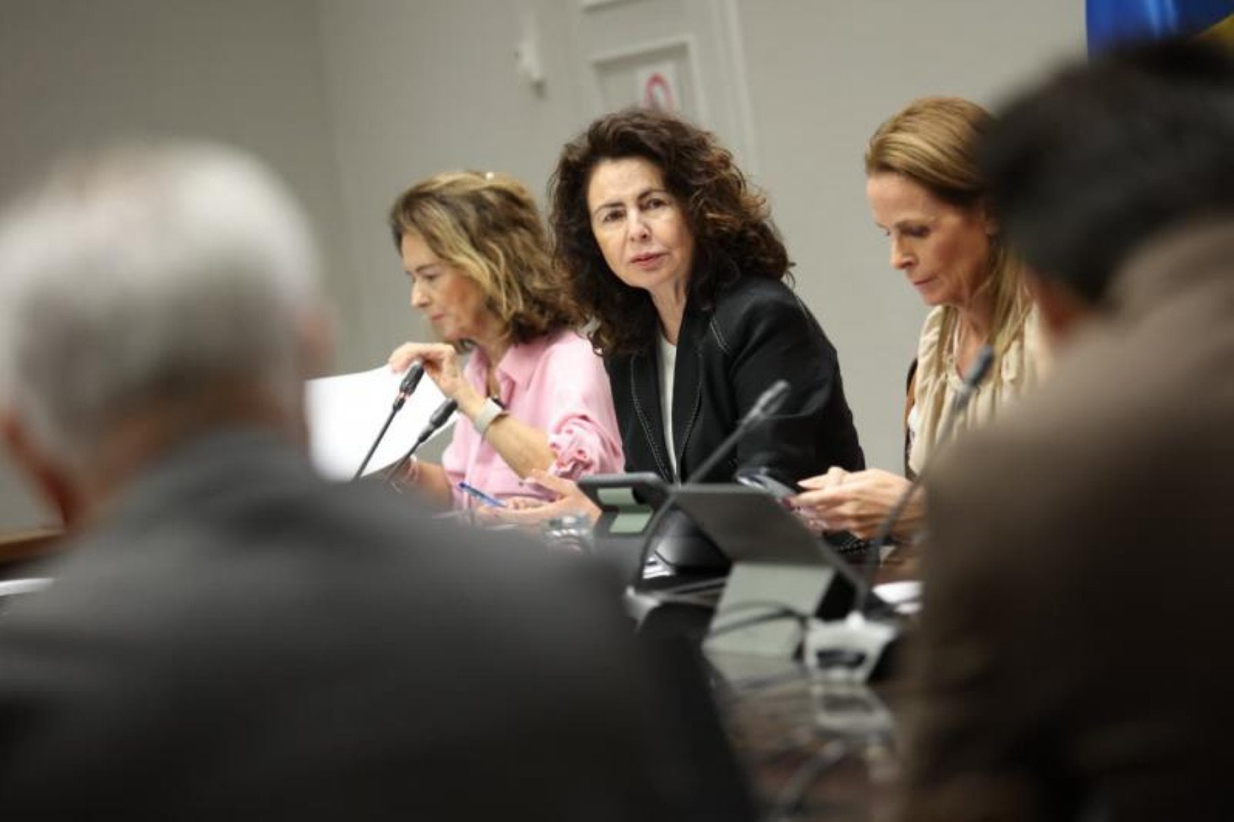 La consejera canaria de Hacienda, Matilde Asián, este miércoles en la comisión del área en el Parlamento canario.