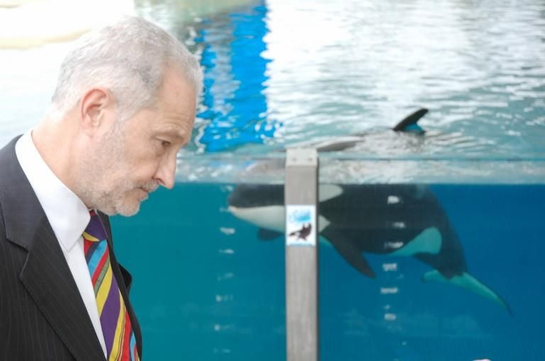 La vida de Adán Martín, en imágenes