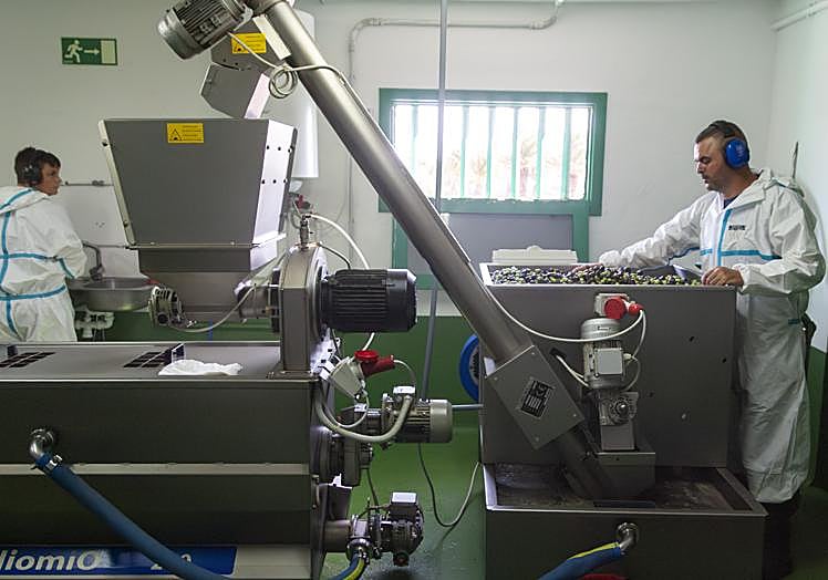 Raquel Arco y Rayco Martínez supervisando el tratamiento.