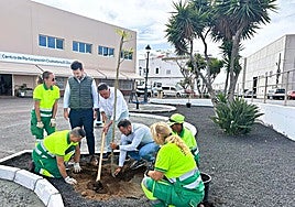 Autoridades plantando un árbol meses atrás.