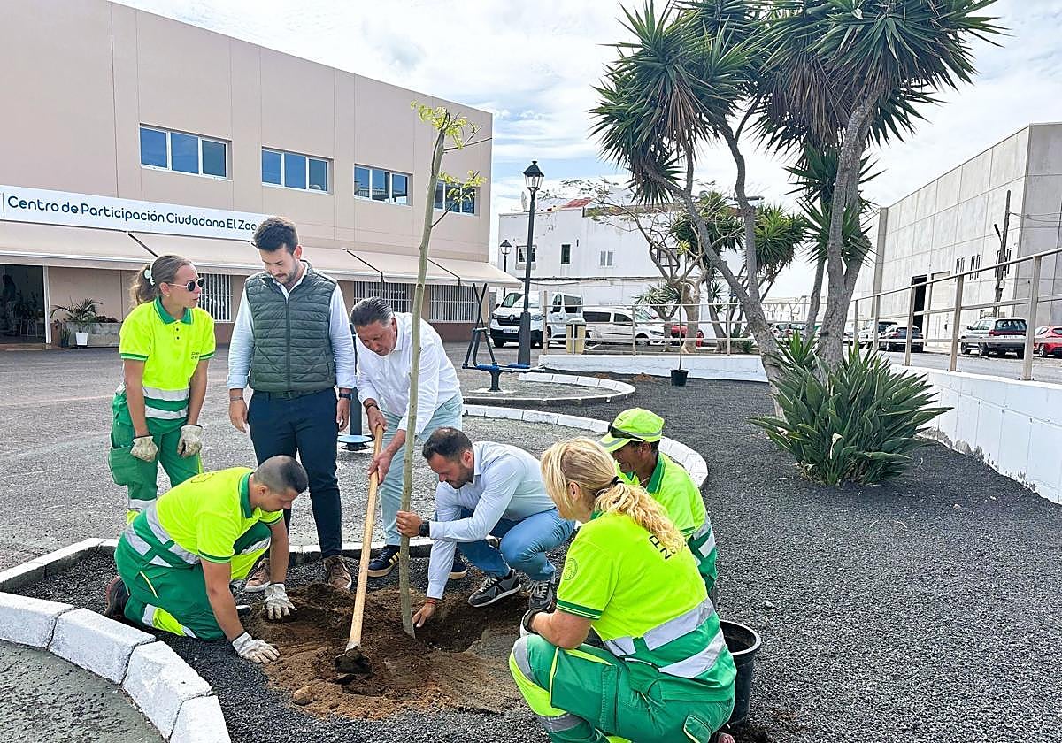Autoridades plantando un árbol meses atrás.