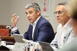 El consejero de Agricultura, Narvay Quintero, en una comisión del Parlamento de Canarias.