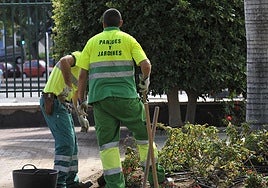 Imagen de archivo de trabajadores de Parques y Jardines del Ayuntamiento de Las Palmas de Gran Canaria.