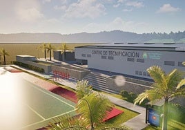 La obra podría tener una duración de un año.