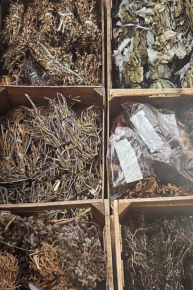 «Las especias» de la Cocina popular