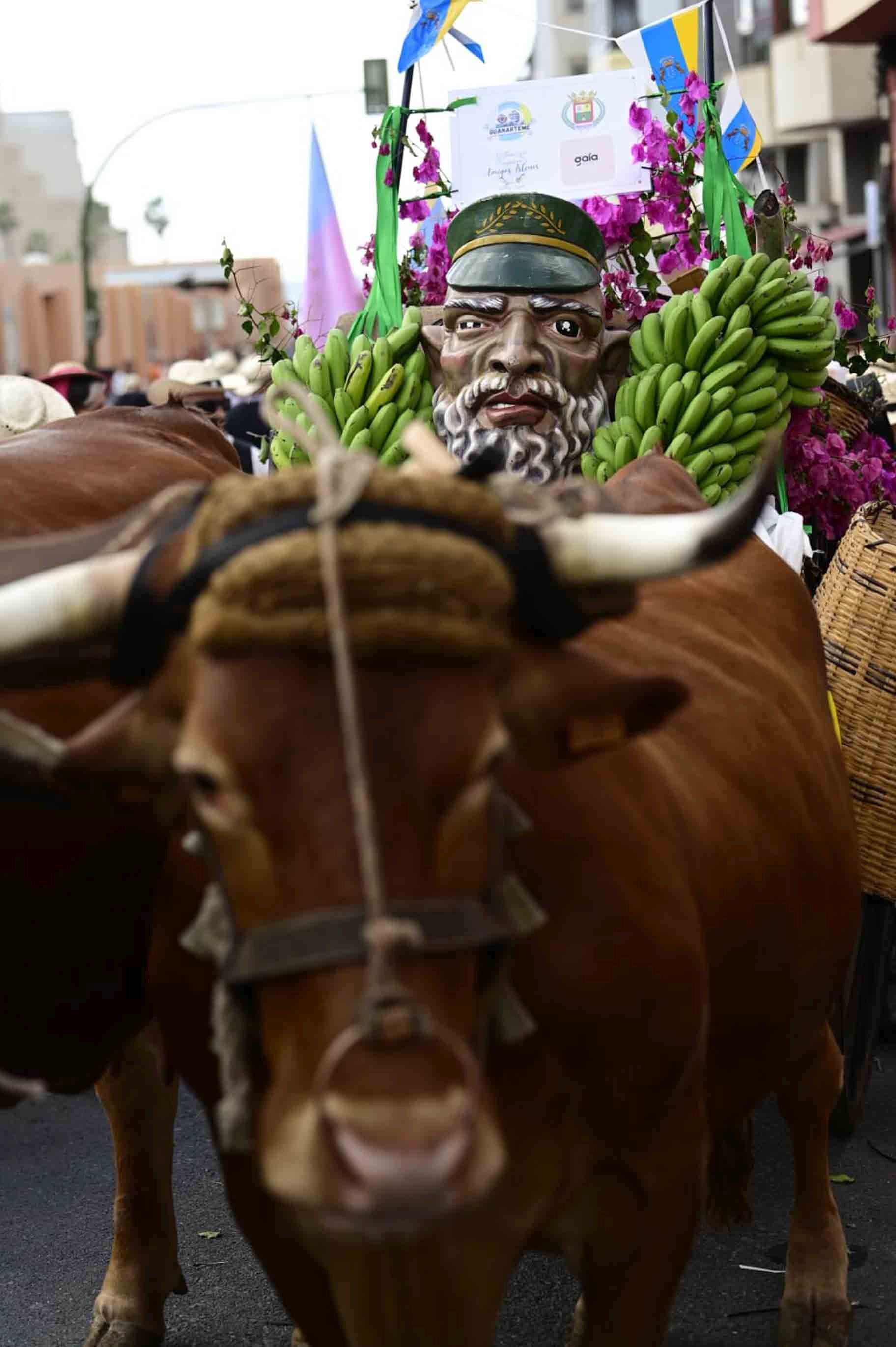 Guanarteme se viste de romería llena de color y tradición