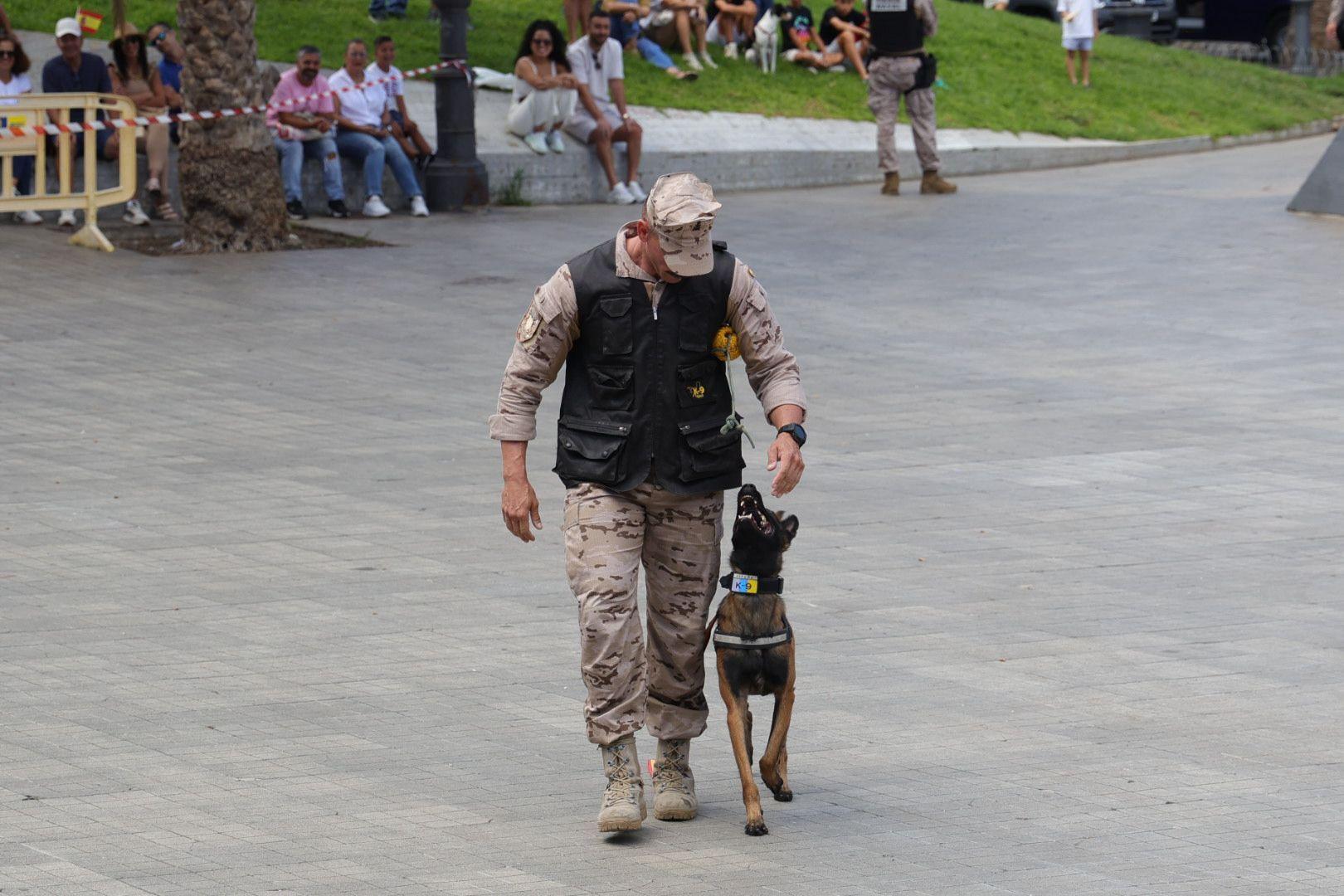 La Fuerzas Armadas exhiben sus recursos materiales y humanos en la plaza de La Feria
