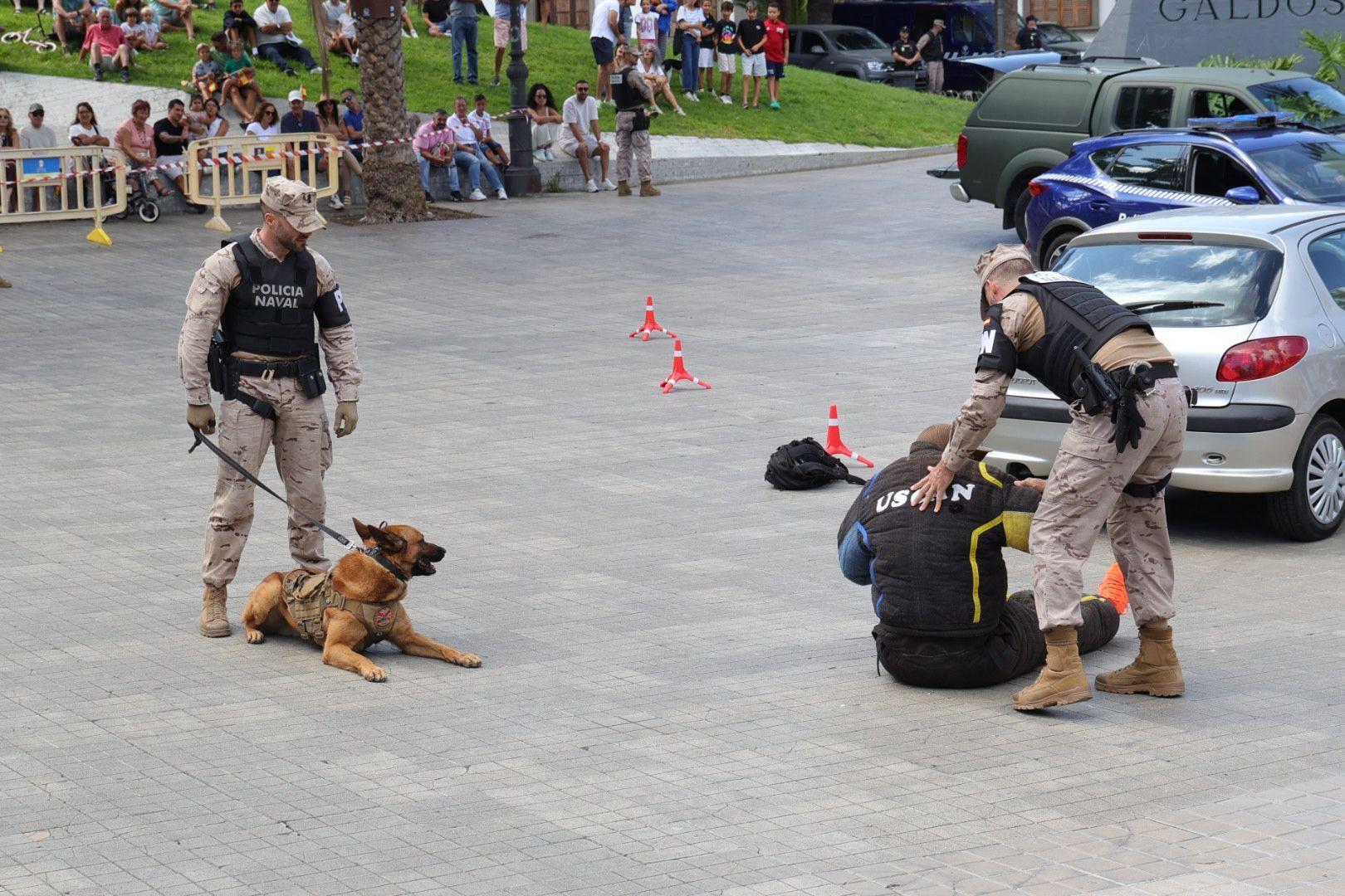 La Fuerzas Armadas exhiben sus recursos materiales y humanos en la plaza de La Feria