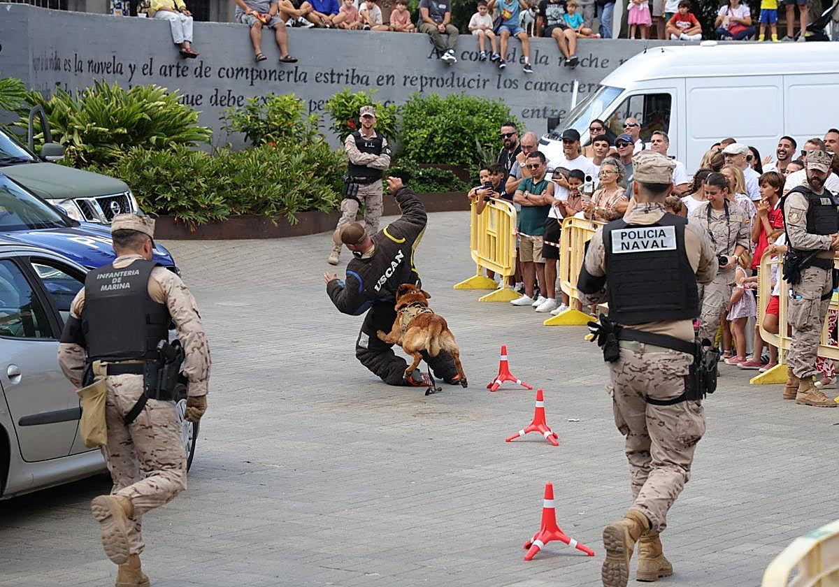 La Fuerzas Armadas exhiben sus recursos materiales y humanos en la plaza de La Feria