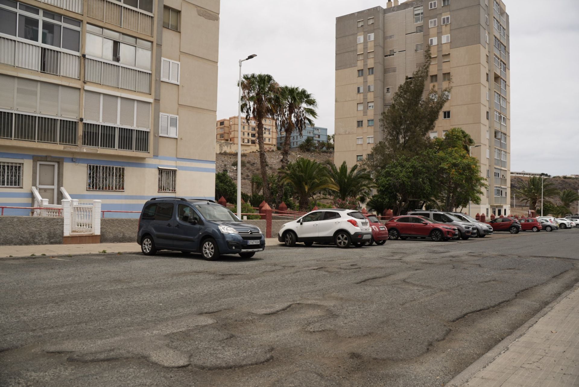 Imagen de Eucaliptos II.