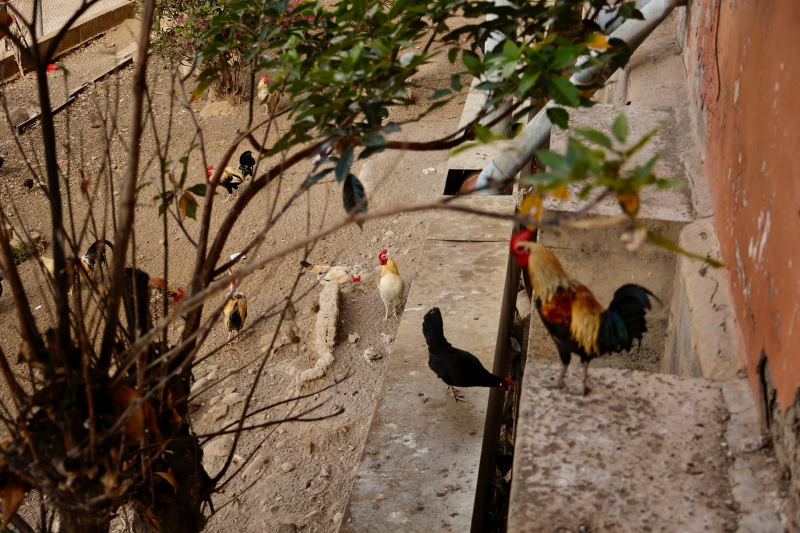 El barrio olvidado de San Francisco, en imágenes
