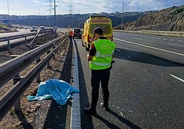 Agentes de la Policía Canaria realizando las deligencias oportunas.