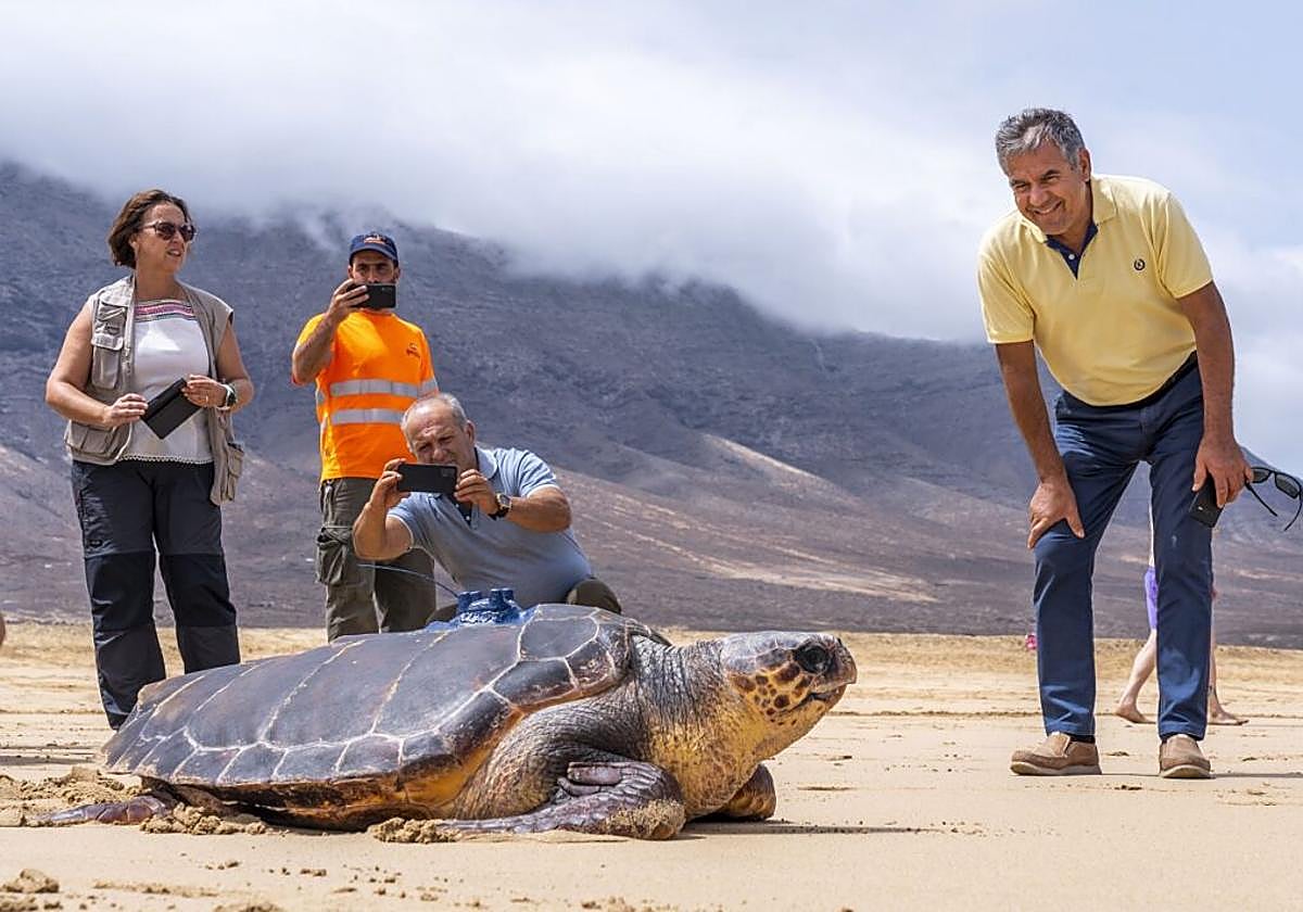 Carlos Rodríguez, consejero de Medio Ambiente, presencia una suelta de tortugas en Cofete.