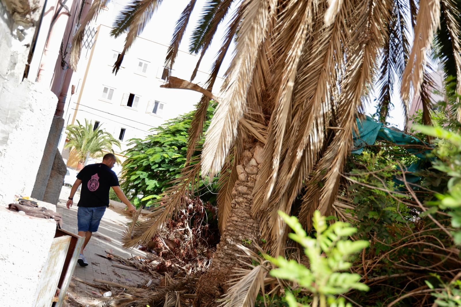 Vecinos de Escaleritas denuncian el mal estado de sus patios interiores