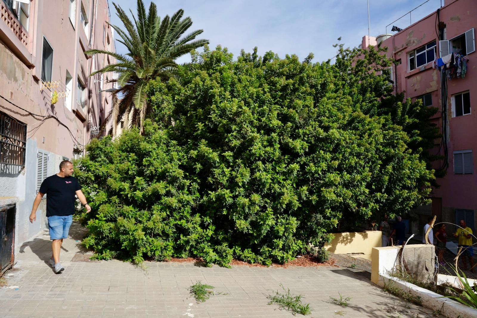 Vecinos de Escaleritas denuncian el mal estado de sus patios interiores