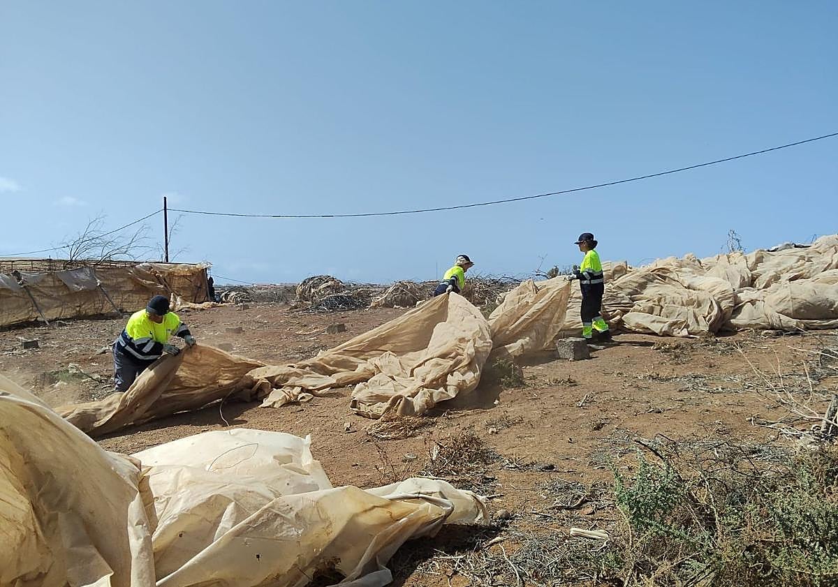 Imagen principal - El sureste limpia de invernaderos 61 hectáreas más y busca nuevas parcelas