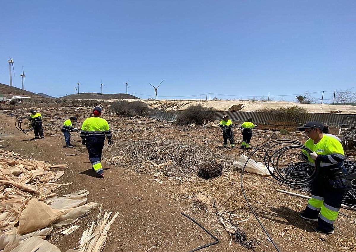 Imagen secundaria 1 - El sureste limpia de invernaderos 61 hectáreas más y busca nuevas parcelas