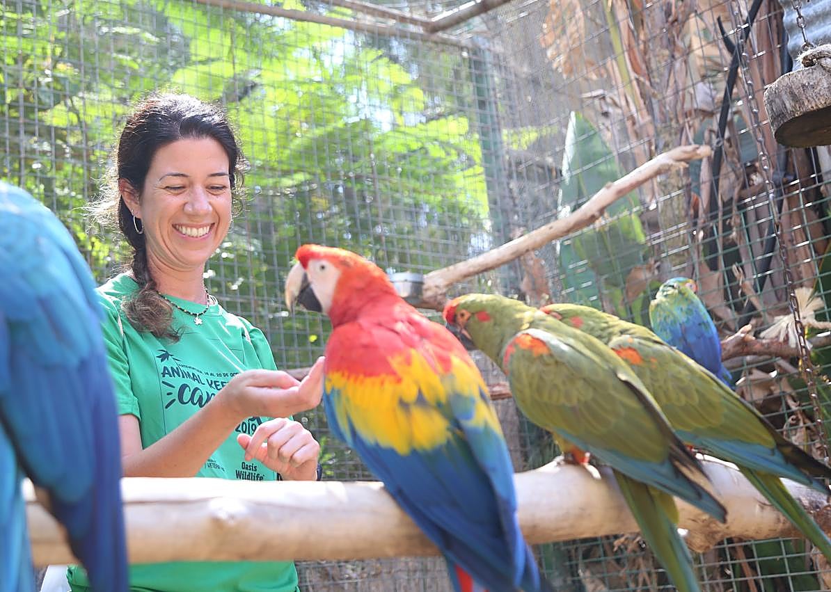 Imagen secundaria 1 - Hora de la comida para los monos, loros y jirafas en otras ediciones del campamento en La Lajita.
