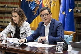 El consejero de Obras públicas, Vivienda y Movilidad, Pablo Rodríguez, en una intervención del Parlamento de Canarias.