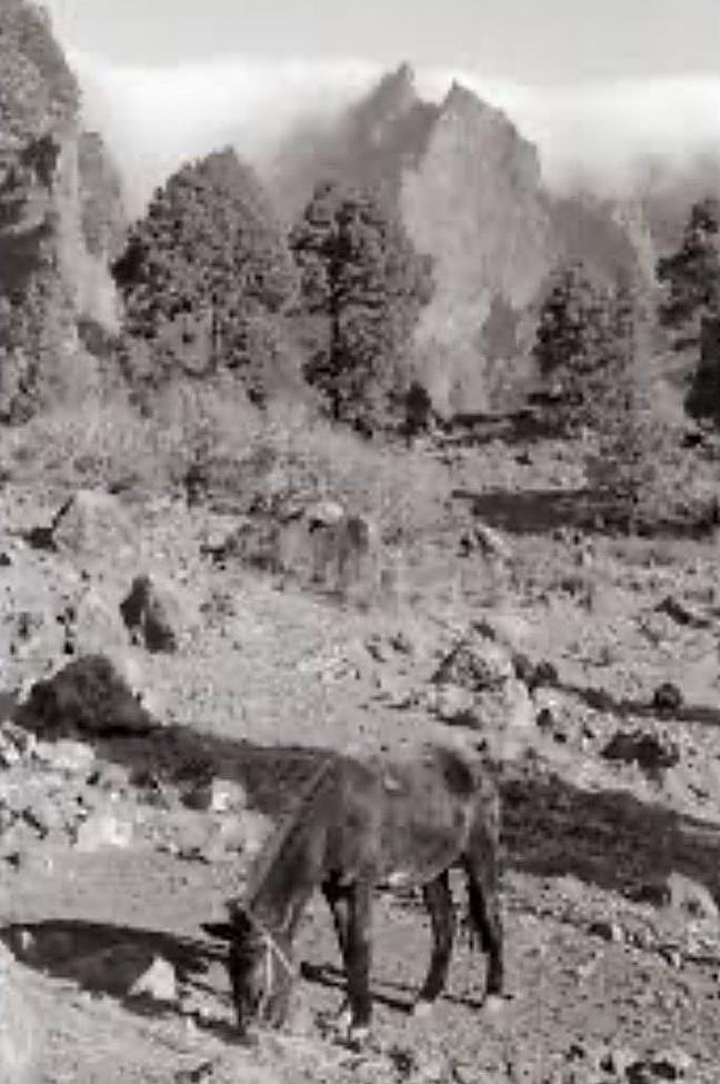 La Caldera de Taburiente