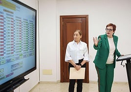 La consejera de Bienestar Social del Gobierno de Canarias, Candelaria Delgado (d) expone en rueda de prensa los avances en materia de dependencia.