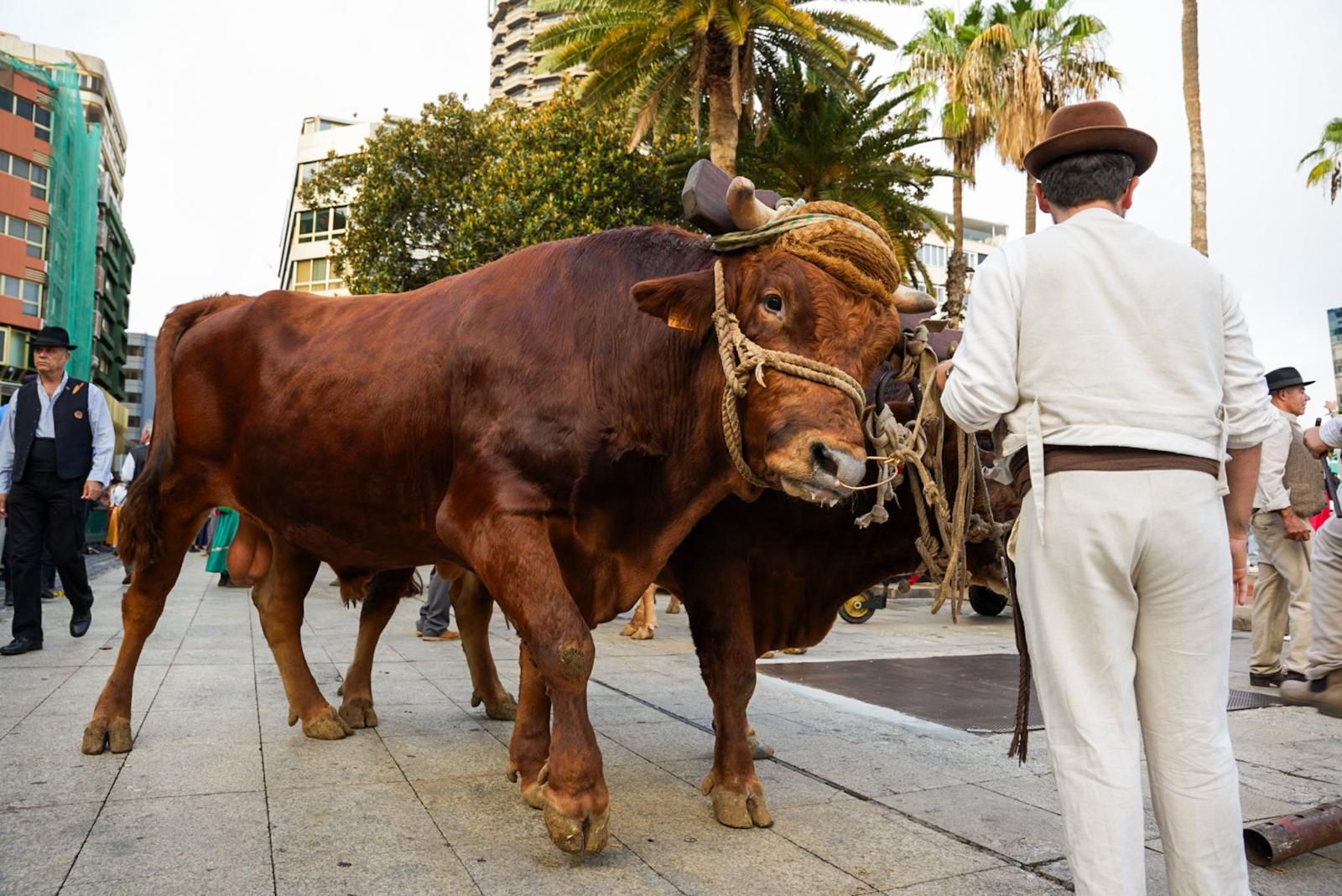 Las mejores imágenes de la romería ofrenda de La Naval