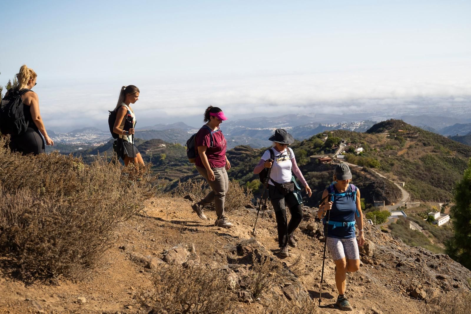 Imagen de la pasada edición e 'Vamos Pa'l Pino'.