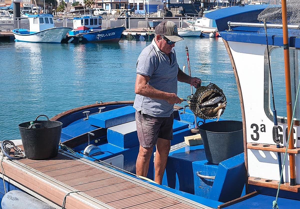 Pescador de Corralejo descarga viejas en el muelle.