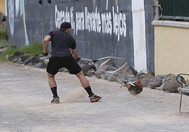Captura de gallos y gallinas en La Paterna.
