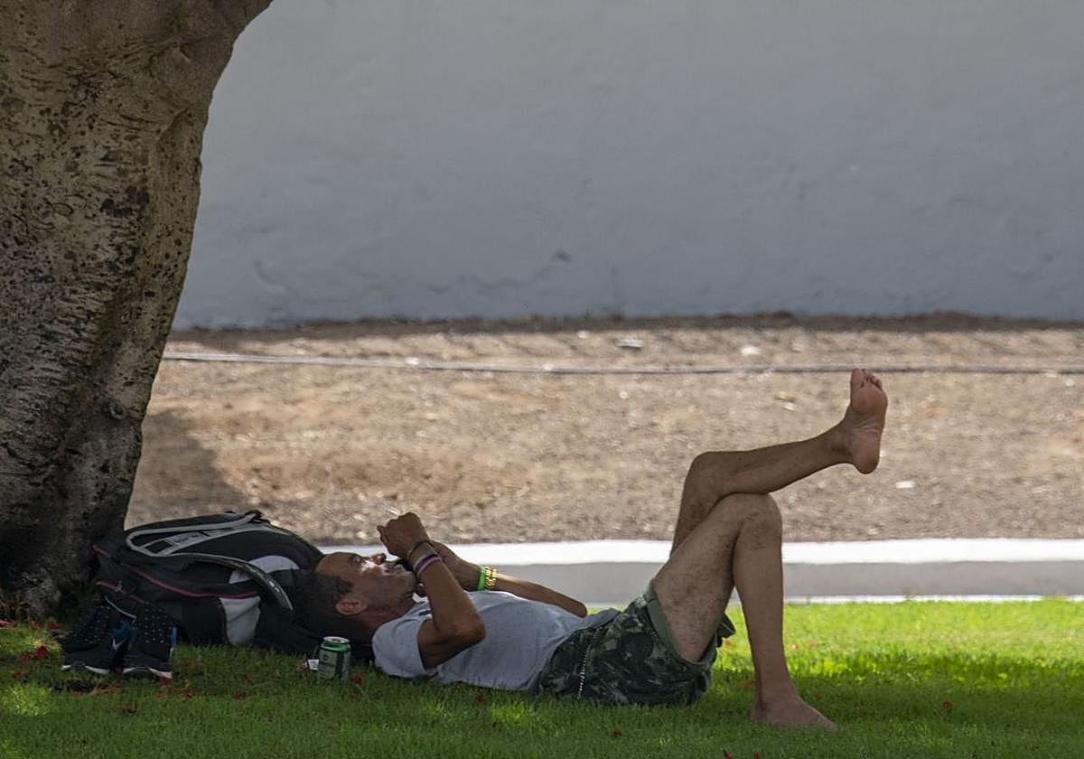 ¿Cómo diseñar ciudades y edificios para afrontar el exceso de calor?