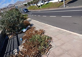 Trazado que permite el acceso a la zona de salidas de la terminal principal.