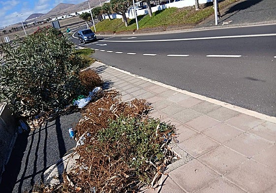 Trazado que permite el acceso a la zona de salidas de la terminal principal.
